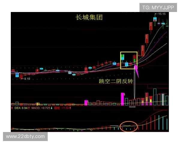 全面解析澳门新彩网开奖结果综合走势图的趋势与技巧